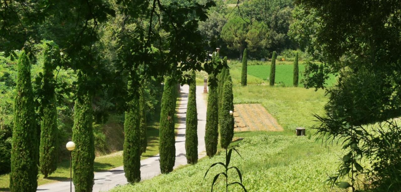 Agriturismo Cascina Cipressa San Romano  Exterior foto