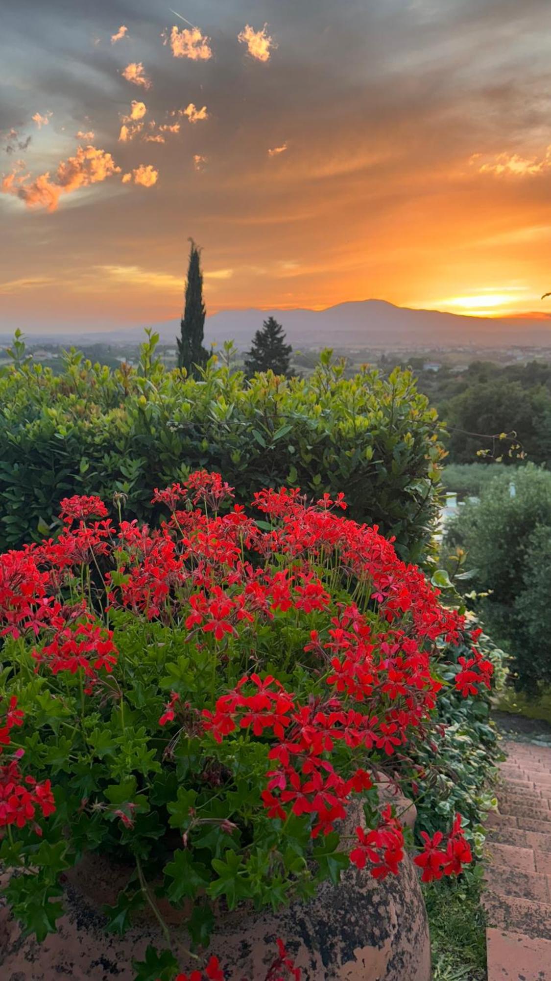 Agriturismo Cascina Cipressa San Romano  Exterior foto