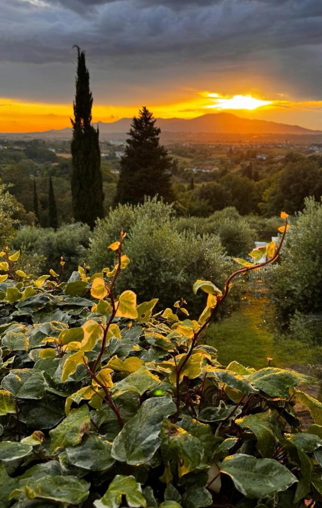 Agriturismo Cascina Cipressa San Romano  Exterior foto